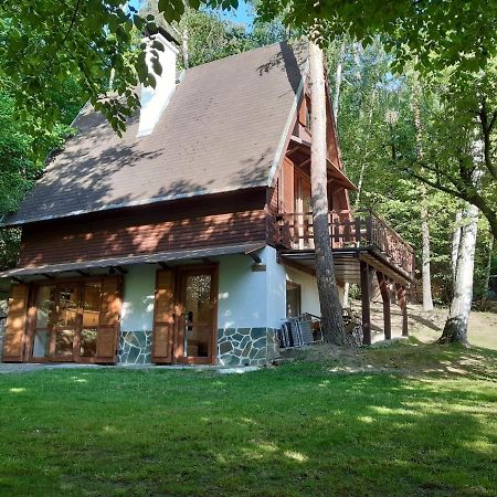 Holiday Home Zajicovi Rabyne Zewnętrze zdjęcie
